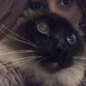 Meet your Posher, Naydeline